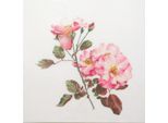 Thea Gouverneur Kit Punto Croce "Rosa Leersum Evenweave"", 44X44Cm"