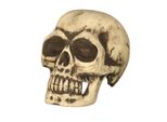 Scheletro Teschio Decorazione Horror Festa Di Halloween Creepy Skull Autentico Teschio Look Decorazione Di Halloween Per Feste Spaventose E Scene Incantevoli, Colore: Beige