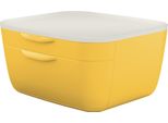 Leitz 5357-00-19 5357 Set Di Cassettiera Cosy - 2 Cassetti, Polistirolo, Giallo Opaco/Grigio Chiaro