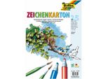 Folia 8700 Cartoncino Da Disegno 200 G/M², Din A3, 25 Fogli