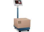 Steinberg Systems Bilancia A Piattaforma - 100 Kg / 0,01 Kg - 40 X 30 Cm - Pieghevole - Led