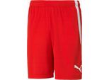 Puma Pantaloni Spodenki MęSkie Teamliga Czerwone, 70492401, Taglia: 188