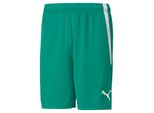 Puma Calcio Squadraliga Pantaloncini Uomo Verde Bianco Taglia S