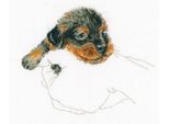 Rto Set Punto Croce "Calore Nelle Mani, Cucciolo"" M818, Schema Di Conteggio, 15,5X12,5 Cm"