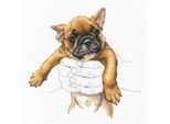 Rto Set Punto Croce "Calore Nelle Mani, Bulldog"" M821, Schema Di Conteggio, 20X19,5 Cm"