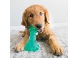 Kong Squeezz Dental Stick Verde Menta