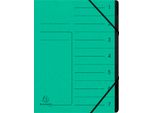 Exacompta 540703E Organizer - 7 Scomparti, A4, Truciolato Colorato, Verde