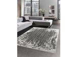 Tappeto Vintage Da Salotto Orientale E Ornamenti Di Design In Grigio Dimensioni - 120X170 Cm