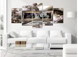 Blumen PÄOnien Vetro Acrilico Quadro Moderno Murale Vetro Immagini B-C-0805-K-M