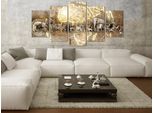 Animali Africa Quadro Di Vetro Acrilico Quadri Di Vetro Moderni Da Parete Immagini G-C-0312-K-M