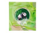 Goldbuch Album Fotografico Il Panda 30X31 Cm 60 Pagine Bianche