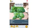 Semi Di Basilico Napolitano Buzzy - Circa 1,5 Gr | Buzzy_080913