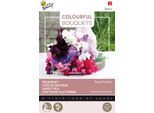 Buzzy Bouquet Colorati Famiglia Reale (Lathyrus) Semi - Circa 5 Gr | Buzzy_083072