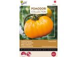Buzzy Pomodori A Bacchetta Semi Di Pomodoro Grappa Gialla - Circa 1,5 Gr | Buzzy_028475
