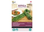 Buzzy Xotica Fagiolo Asparago Metro Nero Semi - Circa 10 Gr | Buzzy_080428