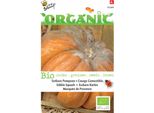 Buzzy Zucca Commestibile Biologica MusquéE De Provence - Semi Biologici - Circa 2,5 Gr | Buzzy_92489