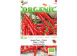 Buzzy Organic Pepe Di Cayenna Lungo Sottile - Semi Biologici - Circa 0,25 Gr | Buzzy_92450