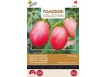 Buzzy Pomodori Pomodoro Rosa Uovo Thai Semi - Circa 1,5 Gr | Buzzy_028445