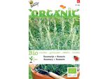 Buzzy Rosmarino Biologico - Semi Biologici - Circa 0,1 Gr | Buzzy_91185