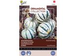 Semi Di Zucca Ornamentale Buzzy - Circa 1 Gr | Buzzy_029805