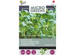 Buzzy Microgreens Semi Di Tatsoi Giapponese - Circa 1 Gr | Buzzy_080337
