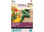 Buzzy Xotica Pepper Jalapeno Semi - Circa 2,5 Gr | Buzzy_080462