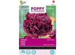 Buzzy Poppy Fiori Papavero Nero Semi Di Peonia - Circa 0,08 Gr | Buzzy_080863