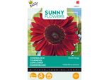 Buzzy Sunny Flowers Semi Di Girasole Moulin Rouge - Circa 1 Gr | Buzzy_080823