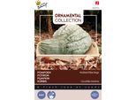Buzzy Zucca Ornamentale Hubbard Semi Grandi Blu - Circa 3 Gr | Buzzy_024772