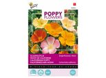 Buzzy Poppy Flowers Semi Di Papavero Della California - Circa 1 Gr | Buzzy_080864