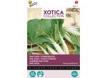 Buzzy Xotica Pak-Choi Semi - Circa 2 Gr | Buzzy_080455
