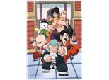 Sd Toys Dragon Ball Tournament Magnete Multicolore Multicolore Taglia Unica
