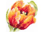 Magic Needle Zweigart Edition Kit Punto Croce "Red Tulip"", Contato, Fai Da Te, 11X11Cm"