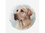 Luca-S Kit Per Ricamo A Punto Croce Con Telaio "Il Labrador"", Schema Di Conteggio, 16X16Cm"