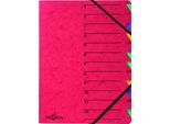 Pagna® 24131-01 Organizer Easy - 12 Scomparti, A4, Cartoncino, 265 G/M², Rosso