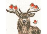 Set Per Punto Croce Bothy Threads "Festive Friends"", Schema Contato, XHD110, 26X26Cm"