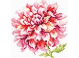 Magic Needle Zweigart Edition Kit Punto Croce "Dahlia"", Contato, Fai Da Te, 11X11Cm"