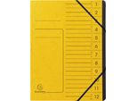 Exacompta 541209E Organizzatore - 12 Scomparti, A4, Truciolato Colorato, Giallo