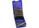 Set Di 25 Punte Hsse 5% Cobalto - Da 1 A 13 Mm Per 0,5 Mm - Izar 1016