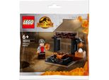 Lego Polybag Jurassic World (30390)