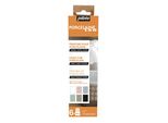 Pebeo Porcelaine 150 Set Di Iniziazione, Colori A Gesso, 6 X 20 Ml.