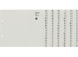Leitz 1308-00-85 1308 Serie Registro - A-Z, Carta, A4 Extra-Large, Per 8 Cartelle, Grigio