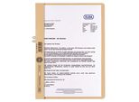 Elba 400001022 Cartella A Clip Senza Copertina - A4, 10 Fogli, Cartone Manila (Rc), Camoscio