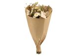 Bouquet Di Fiori Secchi Naturali - Bouquet - Ø15Cm ↕35Cm - Colori Naturali - Fiori Secchi - Decorazione Sostenibile - Spensieratezza