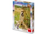 Dino Toys Puzzle Gump Jsme Dvojka 300 Xl DíLků