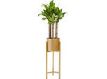 Quvio Supporto Per Piante In Metallo - Supporto Per Piante Da Interno - Supporto Per Piante - Supporto Per Piante - Supporto Per Piante In Metallo - Interno - Supporto Per Piante - Supporto Per Piante - 22X22X60 Cm - Metallo - Oro - S