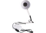 Lampada Da Scrivania Pieghevole Protezione Degli Occhi Apprendimento Led Clip On Lampada Studente Lettura Lavoro Comodino Luce Per Studio Camera Da Letto