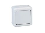 Interruttore Unipolare 10A Per Montaggio Esterno Forix Legrand - Grigio