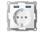 Merten Presa Di Corrente 1F Akws Glz Usb Up +Erh.Bs Horiz Usb IP20