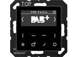 Smart Radio Dabasw Dab+ (Dabasw)